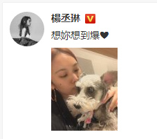 杨丞琳亲吻爱犬称“想你想到爆” 网友：是想李想到爆吧！