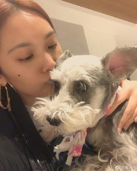 杨丞琳亲吻爱犬