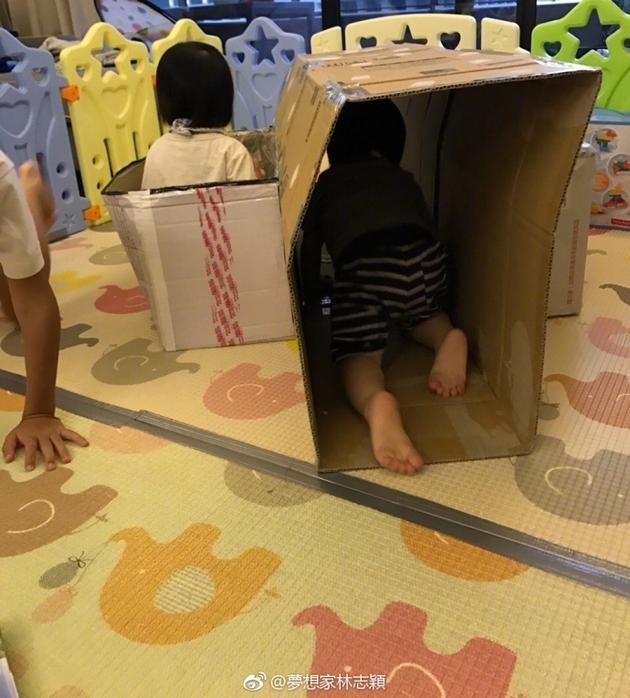 林志颖用纸箱为仨儿子做山洞