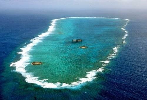 日本种岛，我放海星_冲之鸟礁-岛屿|海洋_岛_珊瑚-动物_海洋保护_技点网